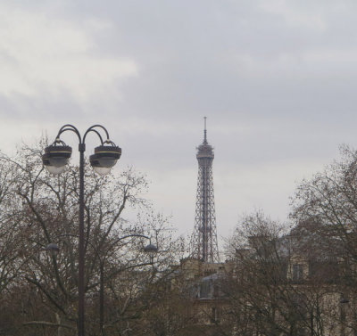 Bleak in winter
