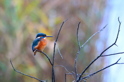 DSC_8735w.jpg