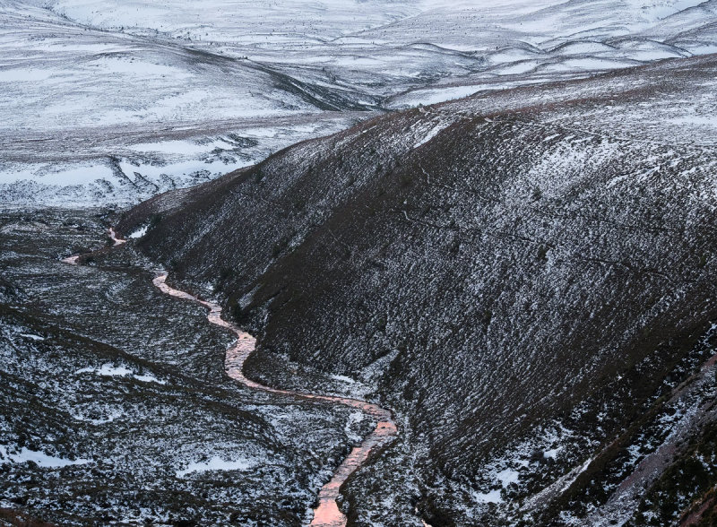 Cairngorm Bloodstream