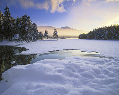 Loch Eilein Sublime