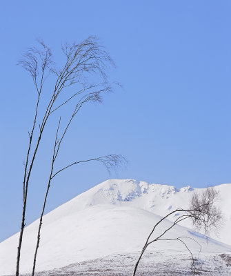 Delicate Inbalance