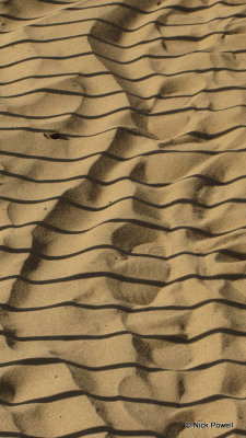 20. Shadows in sand.jpg