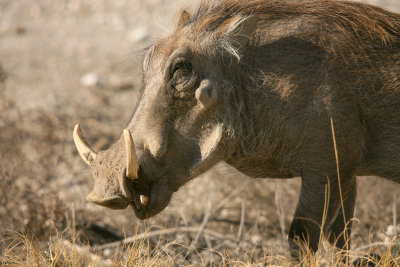 _JAB6091-2.jpg