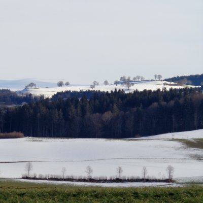 Gerwil 06.01.14