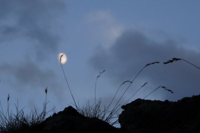 g9/02/775502/3/161480044.5r4pFwDh.jpg