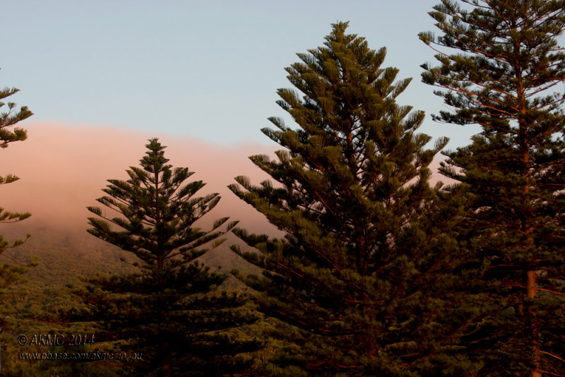 20140209_7533 Red Dawn Over the Escarpment (Sun 09 Feb)