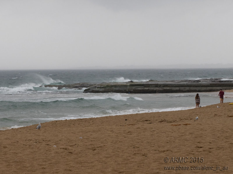 20150301_005951 Photographically, A Non Event (Sun 01 Mar)