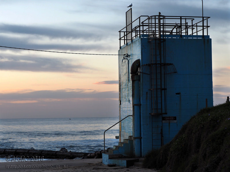 20160402_012489 Thirroul Pool Pumping Station (With Seagull), Dawn (Sat 02 Apr)