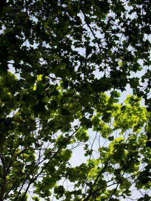 20130924_9241012 For Those Who Missed The News... (Tue 24 Sep)