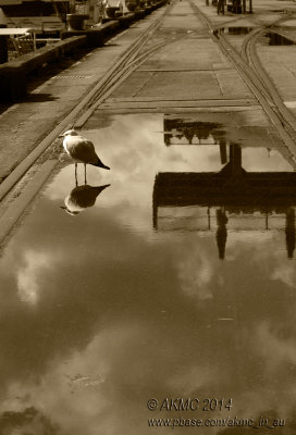 140509_5093189 Upon Reflection (Fri 09 May)