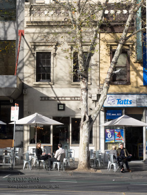 20150624_008150 Melbourne Street Cafe Culture