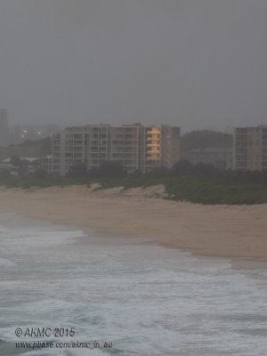 20150926_009164 The One Light In The Rain (Sat 26 Sep)
