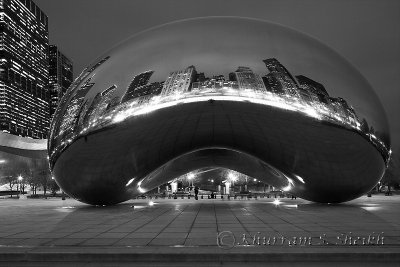 _I2C2517 2Chicago Mar 2013.jpg