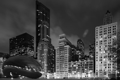 _I2C2531 2Chicago Mar 2013.jpg