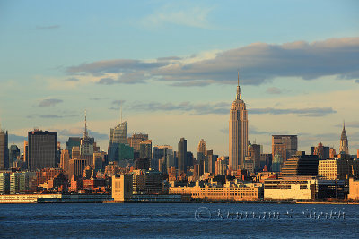 _I2C3056NYC Skyline.jpg