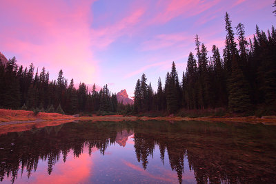 Lake O'Hara Sunrise_I2C8122.jpg