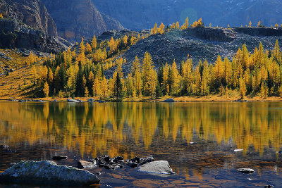 Lake O'Hara Noon_32Q0991.jpg