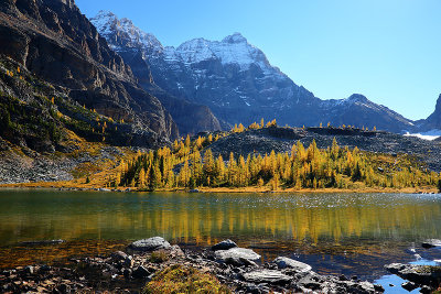 Lake O'Hara Noon_32Q0997.jpg