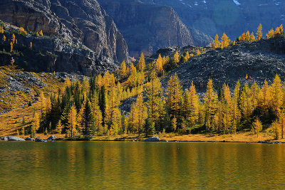 Lake O'Hara Noon_32Q1002.jpg