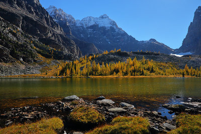 Lake O'Hara Noon_32Q1012.jpg