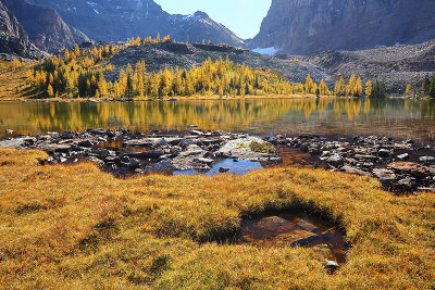 Lake O'Hara Noon_I2C8183.jpg