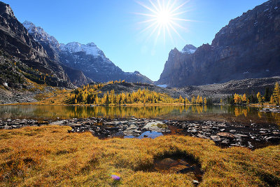 Lake O'Hara Noon_I2C8189.jpg