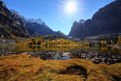 Lake O'Hara_I2C8191.jpg