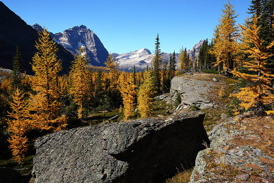 Lake O'Hara_I2C8249.jpg