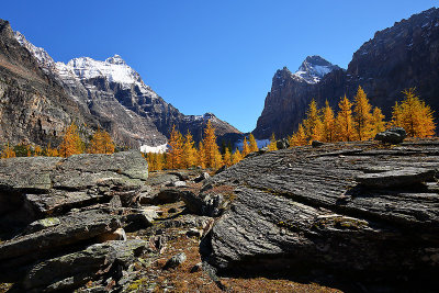 Lake O'Hara_I2C8252.jpg