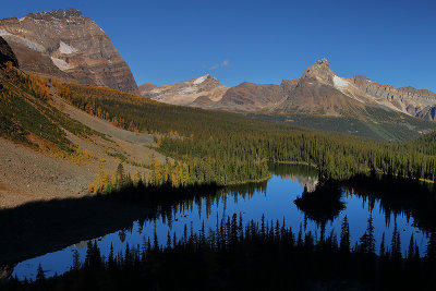 Lake O'Hara Hikes_32Q0975.jpg