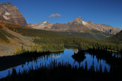 Lake O'Hara Hikes_32Q0979.jpg