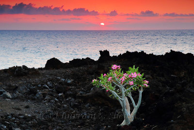 2013 Hawaii - Sunsets at the Big Island