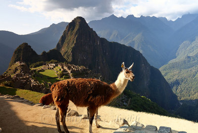Machu Picchu_G1A6891.jpg