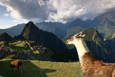 Machu Picchu_G1A6904.jpg