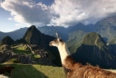Machu Picchu_G1A6906.jpg