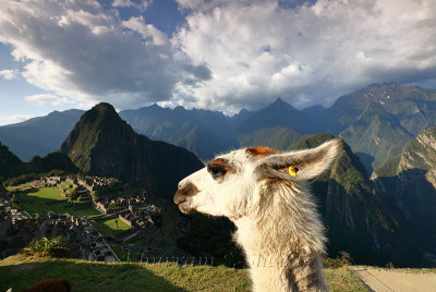 Machu Picchu_G1A6907.jpg