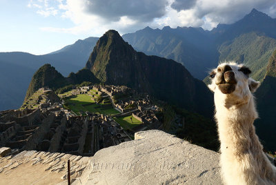 Machu Picchu Classic view with Lamas