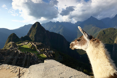 Machu Picchu_G1A6917.jpg