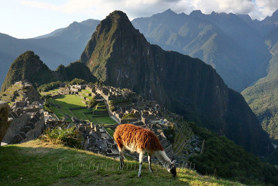 Machu Picchu_G1A6919.jpg