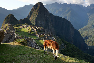 Machu Picchu_G1A6920.jpg
