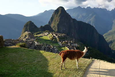 Machu Picchu_G1A6933.jpg