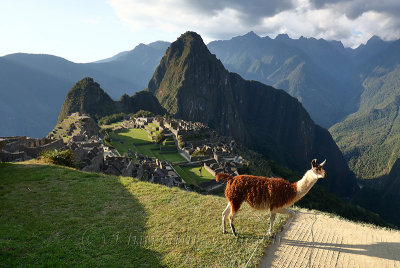 Machu Picchu_G1A6935.jpg
