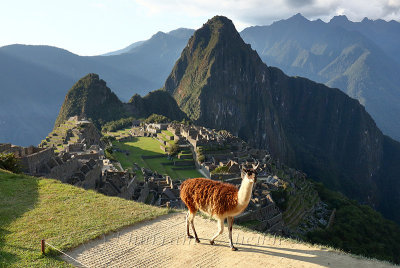 Machu Picchu_G1A6938.jpg