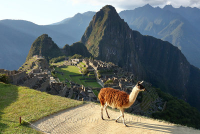 Machu Picchu_G1A6939.jpg