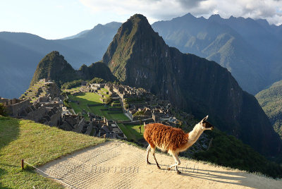 Machu Picchu_G1A6940.jpg