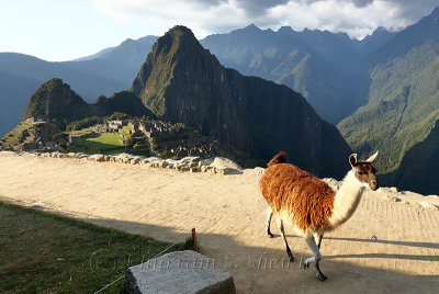 Machu Picchu_G1A6943.jpg