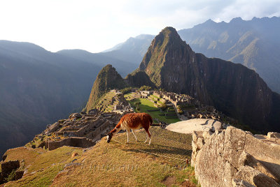 Machu Picchu_G1A6956.jpg