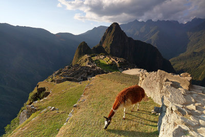 Machu Picchu_G1A6967.jpg