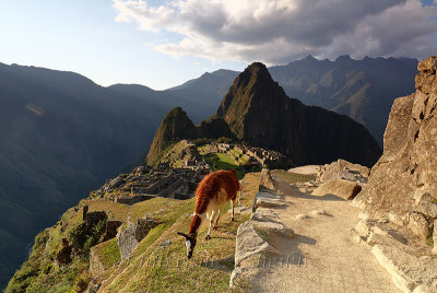 Machu Picchu_G1A6969.jpg