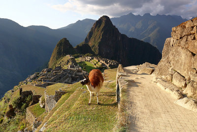 Machu Picchu_G1A6973.jpg